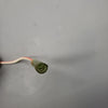 *1984-1997 Yamaha Mariner 689-85580-40-00 84877MMagneto Coil Pulser 25-30-40 Hp Outboard*
