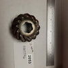 *1973-1977 Pinion Gear 0317796 Johnson Evinrude 85-115-135-140 hp Vintage