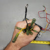 *97-99 Sea Doo SPX SP Jet Ski CDI MPEM Electronic Control Module Box