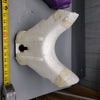 *1994-1999 Sea Doo GTS 277000260 Steering Handlebar Cover Chin Pad Blue Violet Purple OEM