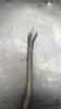 2004-2009+ Johnson Evinrude 0586786 586786 Tilt Limit Switch 40-90Hp OEM