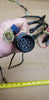 1996-03 Yamaha 64D-82590-00-00 Engine Wiring Harness 150-225Hp OEM Wire Electrical Outboard