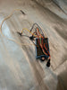 1988-1989 Mercury Force F685301 CDI Module Switch Box Power Pack 50-125 HP (MT*)