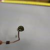 *1984-1997 Yamaha Mariner 689-81311-40-00 84879M Coil Ignition 25-30-40 Hp Outboard*