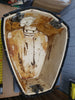 *1976-78 Johnson Evinrude Sea-Horse 0390541 390541 0388776 388776 Cowling Cowl Motor Cover 85-140 Hp Vintage*