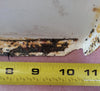 ~ Boat Fiberglass Compartment Storage Hatch Lid Door  13" x 20 3/4"