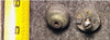 ~1954-61 CD-11-17 Johnson 5.5-7.5 Hp Transom Stern Mount Springs Bushing Retainers 0303458 Vintage*