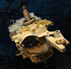 ~*1977 Evinrude Johnson 9.9 15 Hp Complete working Powerhead Engine Block 0388186 388186